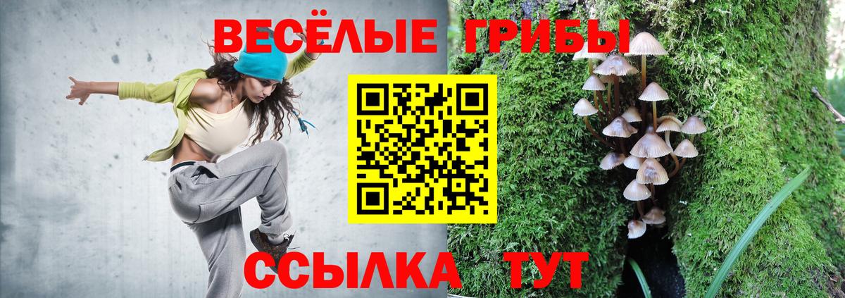 Псилоцибиновые грибы прущие грибы Лиски