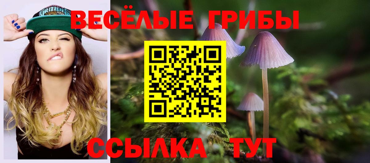 Лиски  Псилоцибиновые грибы Cubensis  Галлюциногенные грибы MAGIC MUSHROOMS  Вход с VPN 